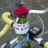 ride for the roses.08